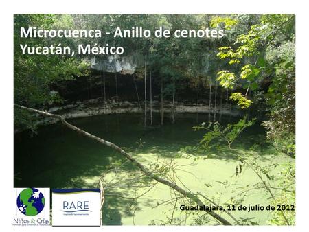Microcuenca - Anillo de cenotes Yucatán, México