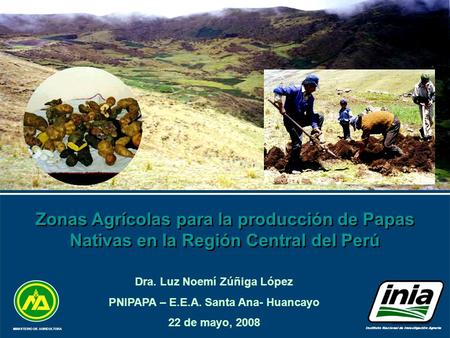 Zonas Agrícolas para la producción de Papas Nativas en la Región Central del Perú MINISTERIO DE AGRICULTURA Instituto Nacional de Investigación Agraria.