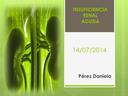 INSUFICIENCIA RENAL AGUDA 14/07/2014 Pérez Daniela.