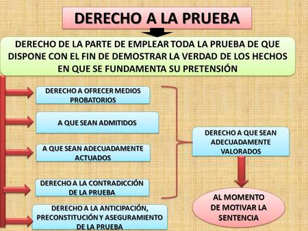 DERECHO A LA PRUEBA DERECHO DE LA PARTE DE EMPLEAR TODA LA PRUEBA DE QUE DISPONE CON EL FIN DE DEMOSTRAR LA VERDAD DE LOS HECHOS EN QUE SE FUNDAMENTA SU.