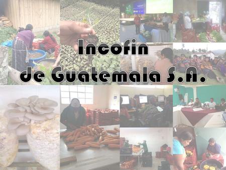Aprovisionamiento Transformación Mercadeo ProductoresAsociaciónIncofinDistribuidores Consumidor final.