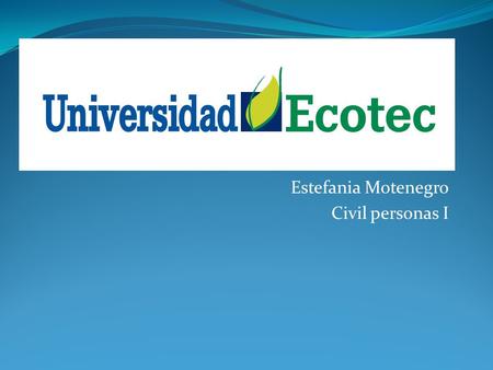Estefania Motenegro Civil personas I