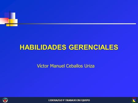 HABILIDADES GERENCIALES