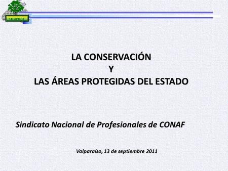 LA CONSERVACIÓN Y LAS ÁREAS PROTEGIDAS DEL ESTADO Sindicato Nacional de Profesionales de CONAF Valparaíso, 13 de septiembre 2011.