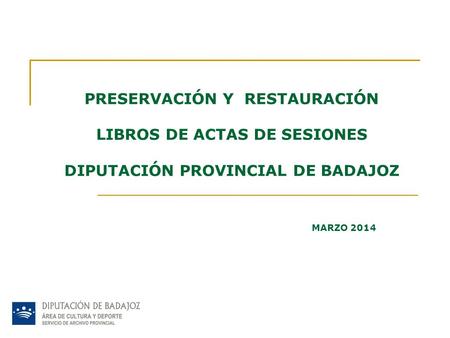 PRESERVACIÓN Y RESTAURACIÓN LIBROS DE ACTAS DE SESIONES DIPUTACIÓN PROVINCIAL DE BADAJOZ MARZO 2014.