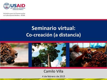 Seminario virtual: Co-creación (a distancia) Camilo Villa 4 de febrero de 2015.