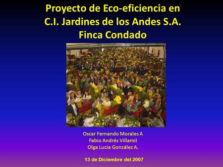Proyecto de Eco-eficiencia en C.I. Jardines de los Andes S.A. Finca Condado Oscar Fernando Morales A Fabio Andrés Villamil Olga Lucia González A. 13 de.