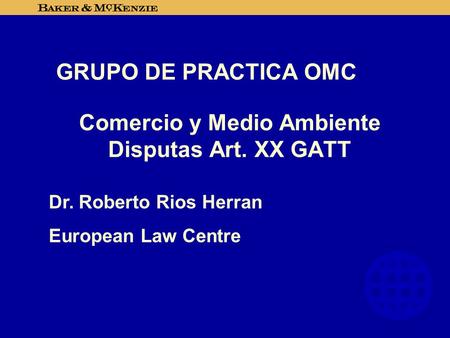 Comercio y Medio Ambiente Disputas Art. XX GATT Dr. Roberto Rios Herran European Law Centre GRUPO DE PRACTICA OMC.