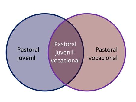 Pastoral juvenil Pastoral vocacional Pastoral juvenil- vocacional.