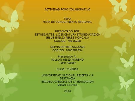 ACTIVIDAD FORO COLABORATIVO