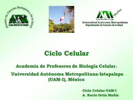 Ciclo Celular Academia de Profesores de Biología Celular.