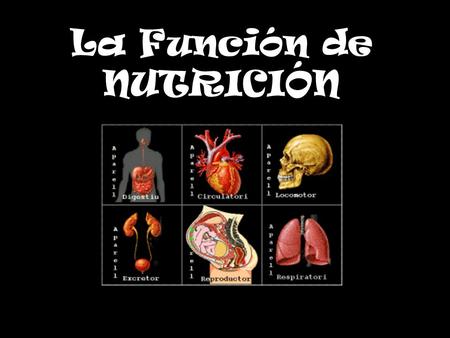 La Función de NUTRICIÓN