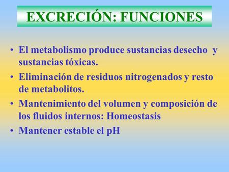 EXCRECIÓN: FUNCIONES El metabolismo produce sustancias desecho y sustancias tóxicas. Eliminación de residuos nitrogenados y resto de metabolitos. Mantenimiento.