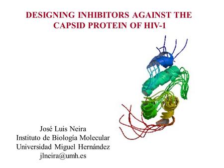 DESIGNING INHIBITORS AGAINST THE CAPSID PROTEIN OF HIV-1 José Luis Neira Instituto de Biología Molecular Universidad Miguel Hernández