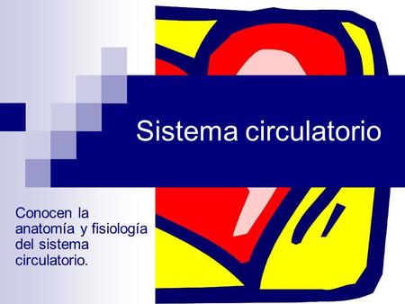 Conocen la anatomía y fisiología del sistema circulatorio.