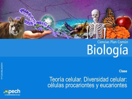 Teoría celular. Diversidad celular: células procariontes y eucariontes