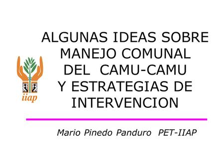 ALGUNAS IDEAS SOBRE MANEJO COMUNAL DEL CAMU-CAMU Y ESTRATEGIAS DE INTERVENCION Mario Pinedo Panduro PET-IIAP.