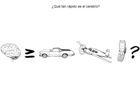¿Qué tan rápido es el cerebro?. Con 1 electrodo, sólo puedes determininar la hora del potencial de acción, y (algunas veces) el tipo de neurona que generó.