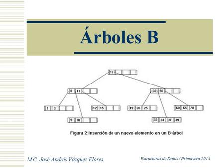 Árboles B M.C. José Andrés Vázquez Flores Estructuras de Datos / Primavera 2014.