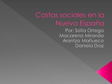 Castas sociales en la Nueva España