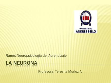 Ramo: Neuropsicología del Aprendizaje Profesora: Teresita Muñoz A.