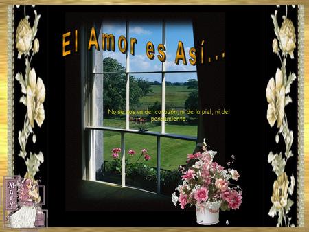 No se nos va del corazón, ni de la piel, ni del pensamiento.