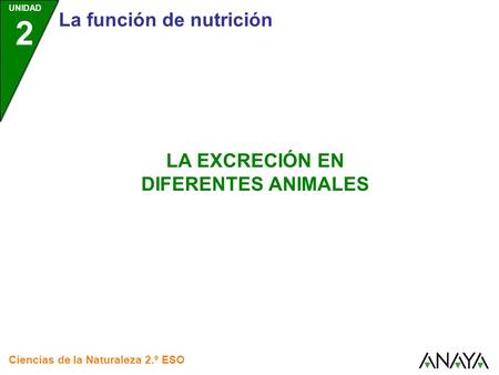 LA EXCRECIÓN EN DIFERENTES ANIMALES