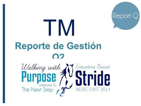 TM Reporte de Gestión Q2. TM RA MA RE TMP (Q1+Q2)TLP (Q1+Q2)IXP (Q2) Planeado 32696 25 Ejecutado 26210225 Gap Absoluto -64 +60 Gap Relativo -19.6%+6.25%-