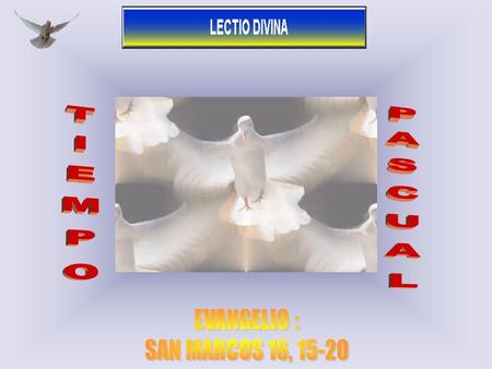TIEMPO PASCUAL EVANGELIO : SAN MARCOS 16, 15-20 1.