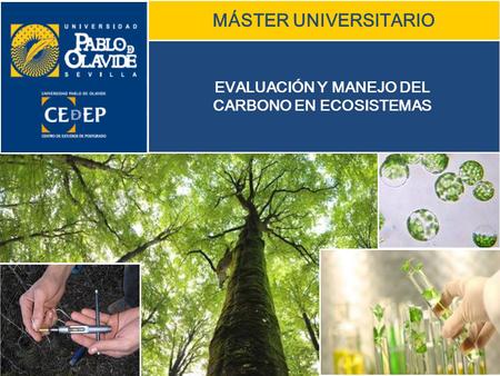 MÁSTER UNIVERSITARIO EVALUACIÓN Y MANEJO DEL CARBONO EN ECOSISTEMAS.