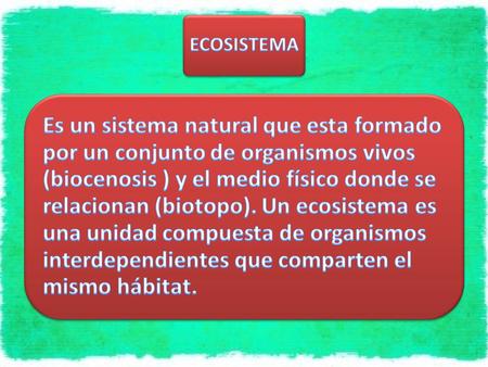 ECOSISTEMA Es un sistema natural que esta formado por un conjunto de organismos vivos (biocenosis ) y el medio físico donde se relacionan (biotopo). Un.