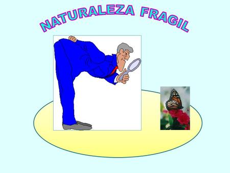 NATURALEZA FRAGIL.