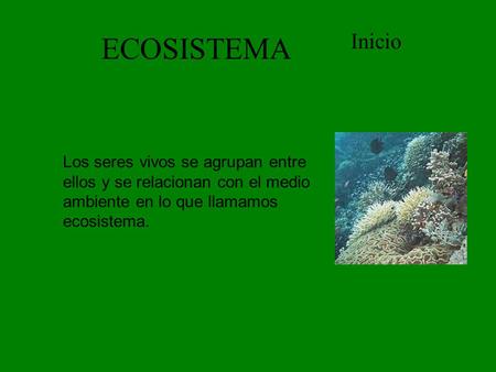 ECOSISTEMA Inicio Los seres vivos se agrupan entre ellos y se relacionan con el medio ambiente en lo que llamamos ecosistema.