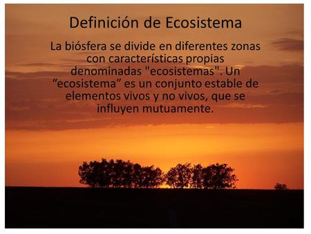 Definición de Ecosistema