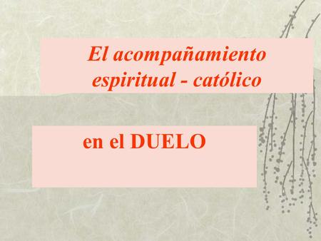 El acompañamiento espiritual - católico