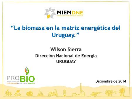 “La biomasa en la matriz energética del Uruguay.”
