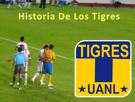 Historia De Los Tigres.