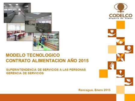 MODELO TECNOLOGICO CONTRATO ALIMENTACION AÑO 2015 SUPERINTENDENCIA DE SERVICIOS A LAS PERSONAS GERENCIA DE SERVICIOS Rancagua, Enero 2015.
