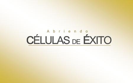 1. Busca tu Palabra Rhema 2. Establece la Fecha y el lugar para iniciar 3. Escoge a tu timoteo (Asistente) y tu anfitrion 4. Establece metas para garnar.