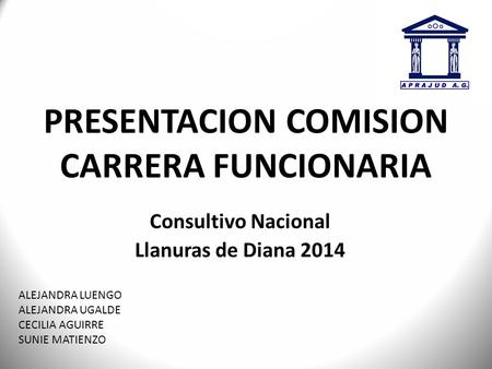 PRESENTACION COMISION CARRERA FUNCIONARIA Consultivo Nacional Llanuras de Diana 2014 ALEJANDRA LUENGO ALEJANDRA UGALDE CECILIA AGUIRRE SUNIE MATIENZO.