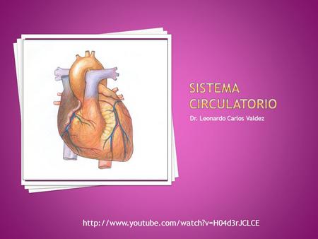 Sistema circulatorio http://www.youtube.com/watch?v=H04d3rJCLCE Dr. Leonardo Carlos Valdez http://www.youtube.com/watch?v=H04d3rJCLCE.