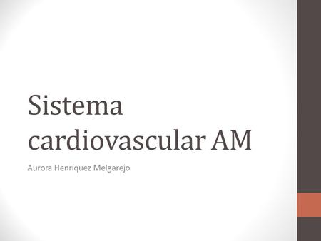 Sistema cardiovascular AM