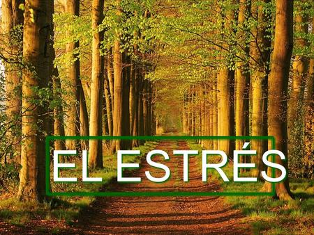 EL ESTRÉS El Estrés es una situación de estado del organismo, caracterizado por la tensión o falta de tranquilidad ante una posible amenaza o presión.