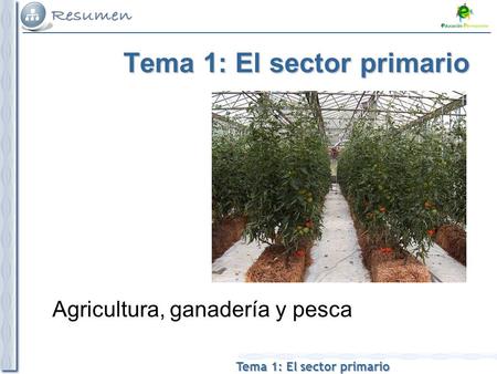 Tema 1: El sector primario