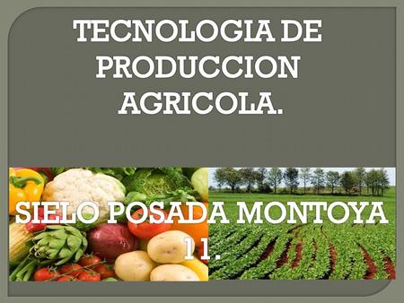 TECNOLOGIA DE PRODUCCION AGRICOLA. SIELO POSADA MONTOYA 11.