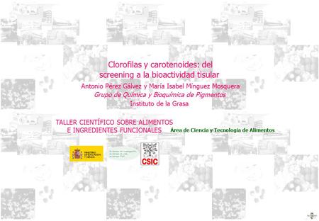 Clorofilas y carotenoides: del screening a la bioactividad tisular