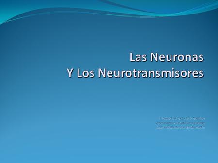 Las Neuronas Y Los Neurotransmisores