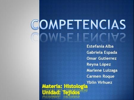 Estefanía Alba Gabriela Espada Omar Gutierrez Reyna López Marlene Luizaga Carmen Roque Yblin Virhuez.