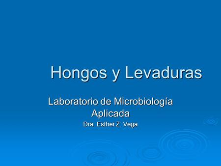 Hongos y Levaduras Laboratorio de Microbiología Aplicada Dra. Esther Z. Vega.