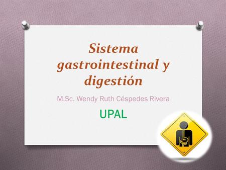 Sistema gastrointestinal y digestión